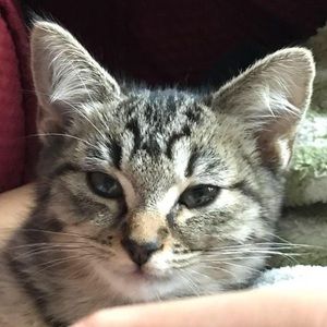 Meet your Posher, Tuyet